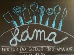 Matargagnrýnendur Hámu tjá sig um hádegismatinn ,,Kartöflurnar sviku mig“