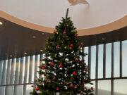 Jólastressið og prófastressið