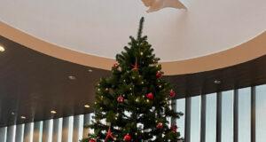 Jólastressið og prófastressið