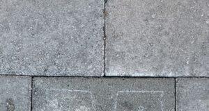 Humar birtist í skjóli nætur við Sundhöll Reykjavíkur