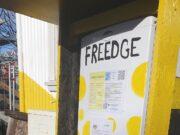 Frískápar farsælir Frískápur Bergþórugötu