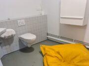 Óboðinn gestur hreiðrar um sig á Stúdentagörðum