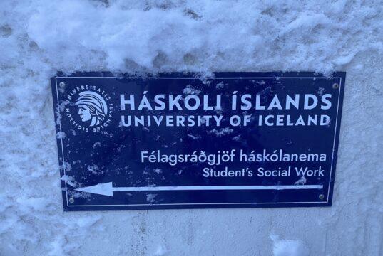 Einmanaleiki meðal erlendra nemenda í HÍ