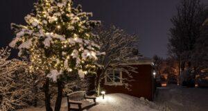 Hvenær má fara í jólaskap?