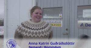 Er Gola uppáhaldskýr háskólasamfélagsins?