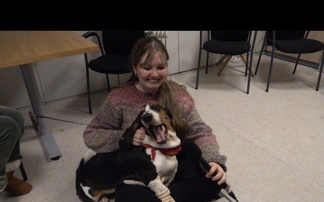 Hlé frá námi með hundi á Háskólatorgi