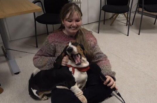 Hlé frá námi með hundi á Háskólatorgi